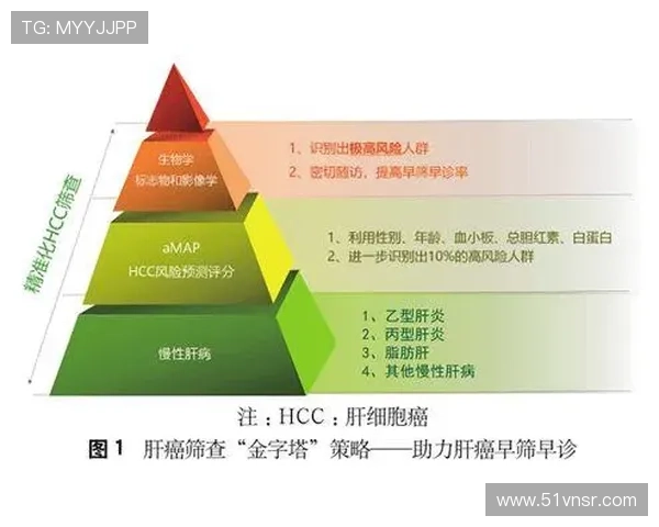 2pg国际的合规性与风险管理策略探讨